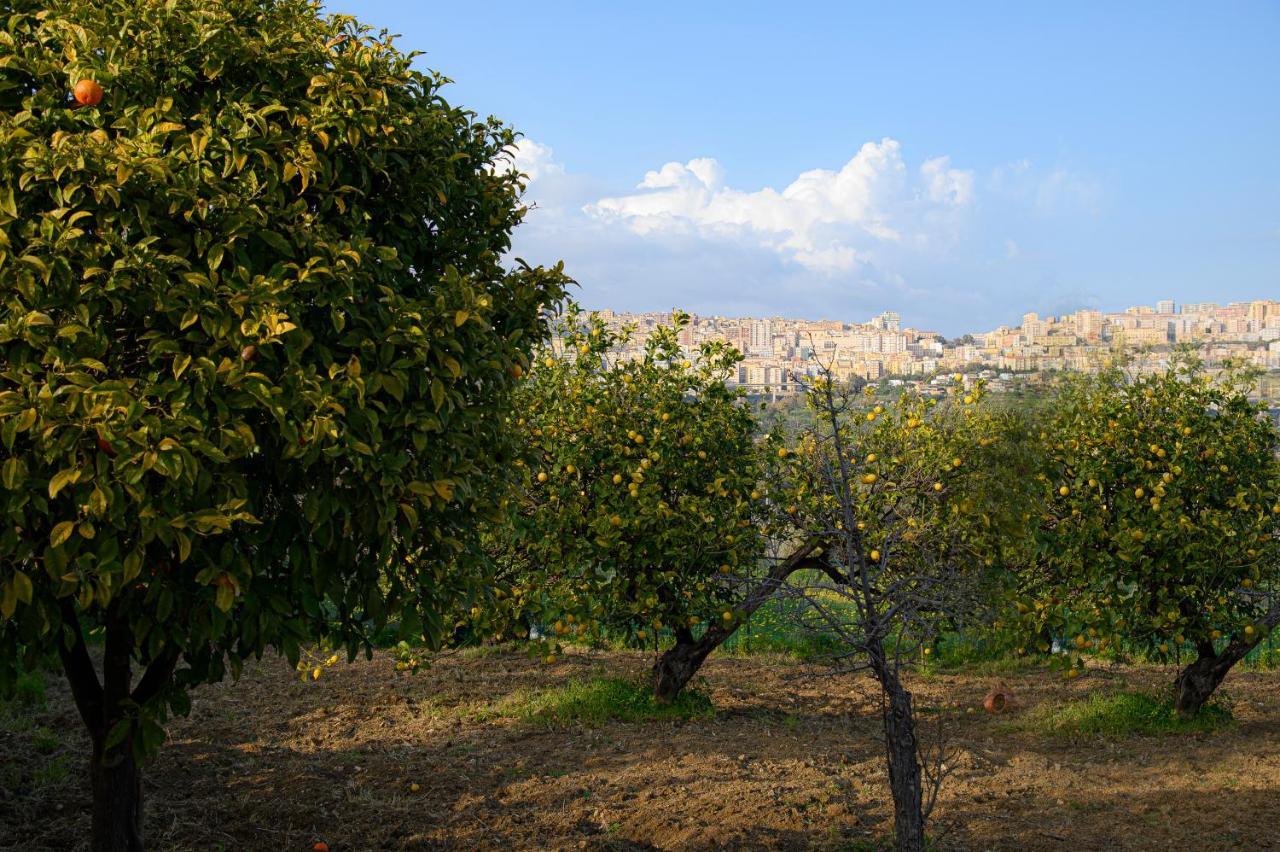 Villa Caterina Agrigento Exterior photo